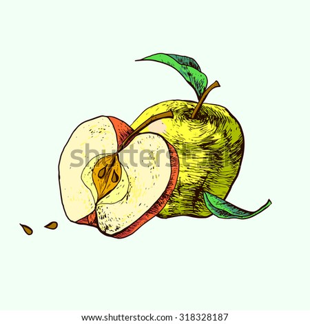 Rotten Apple Stock Illustration 103743602 - Shutterstock