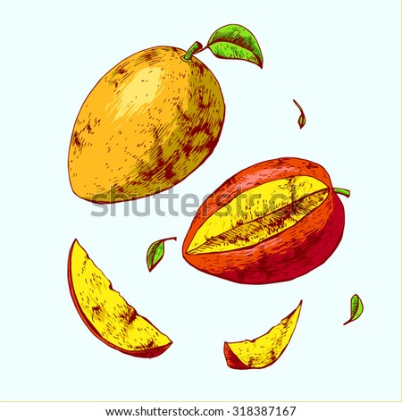 Seamless Pattern Mango Vector Handdrawn Illustration Stock Vector