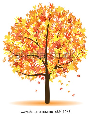 Set Four Autumn Tree Vector Illustration Stock Vector 113291650 ...