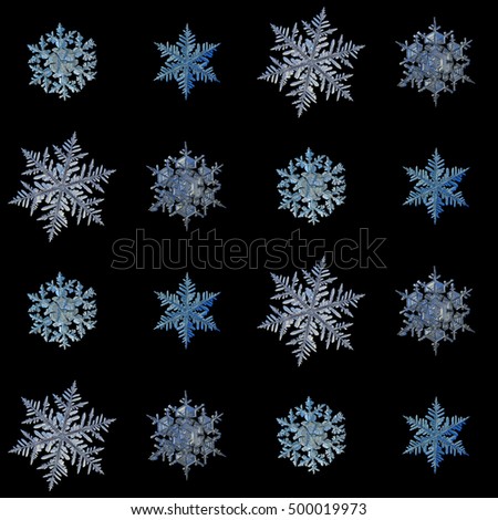 Real Snowflake Real Snowflake