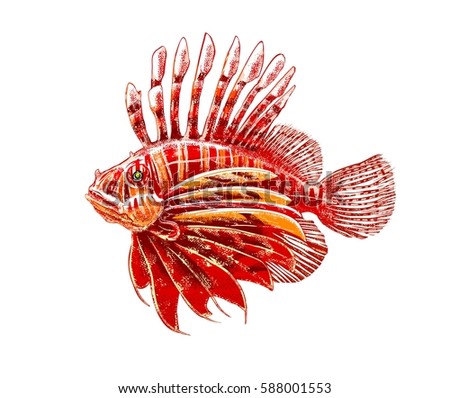 Download Watercolor Colorful Lion Fish Isolated On Stock ...