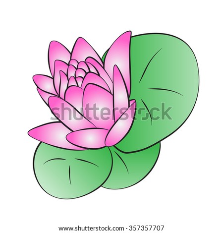 Lotus Flower Set 6 Different Lotuses Stock Vector 20760220 - Shutterstock