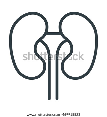 Kidneys Vector Icon Stock Vector 462764239 - Shutterstock