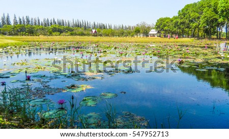 thailand sakon nakhon province phan national park thailand sakon nakhon province phan national park