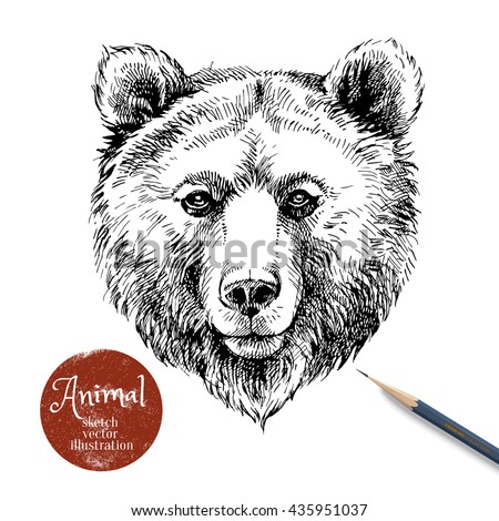 62 Nice Bear sketch line drawing with Simple Design
