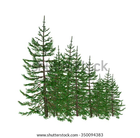 Pine Trees Stock Vector 34330912 - Shutterstock