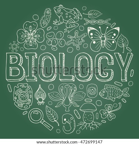 Biology Hand Drawn Vector Illustration Doodle Stock Vector 465927152 - Shutterstock