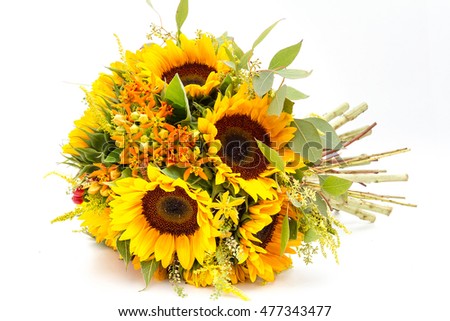 Download Vector Pic Series Cartoon Plants Sunflower Stock Vector ...