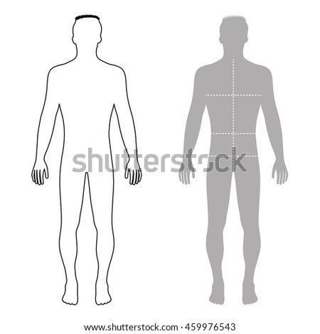 Full Length Profile Front Back View Stock Illustration 132726884 ...