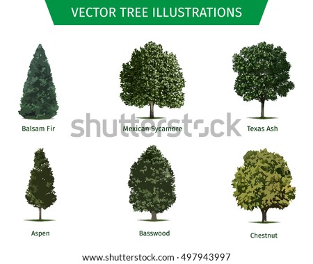Thirty Different Vector Tree Illustrations Tree Stock Vector 408099379 ...