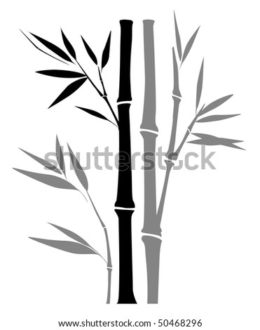 Black White Bamboo Stock Vector 48929968 - Shutterstock