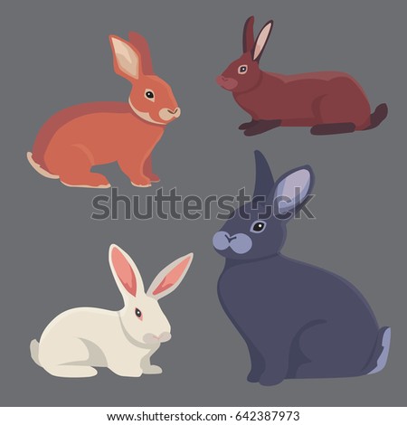 Vector Illustration Cartoon Rabbits Different Breeds Stock Vector ...