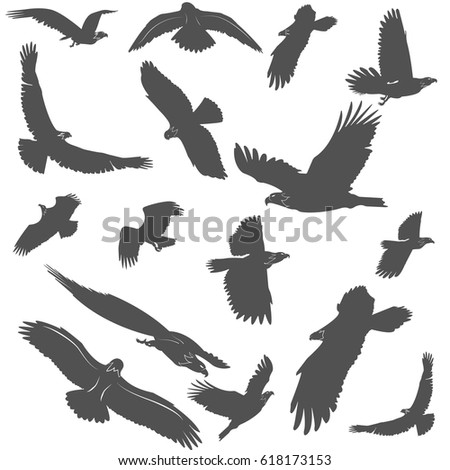 Parrot Silhouettes Collection Isolated On White Stock Vector 26757469 ...