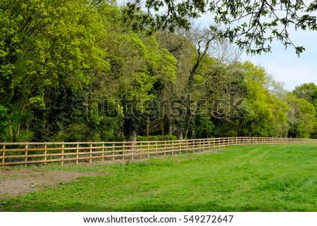 Garden Hedges Wooden Bench Stock Photo 57230311 - Shutterstock