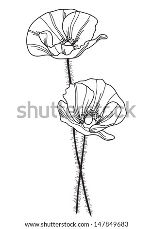 Hand Drawn Poppies Isolated On White Stock Vector 358205915 - Shutterstock