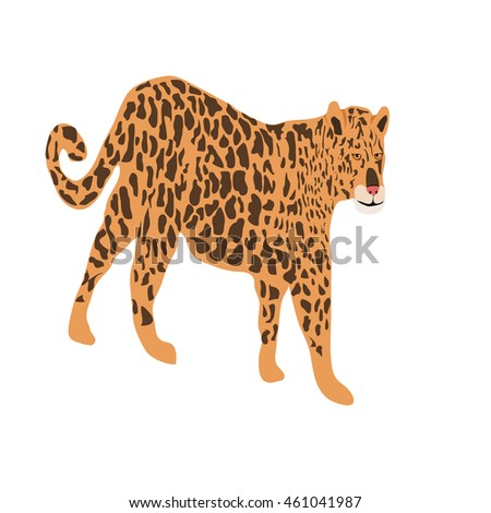 Cartoon Big Cats Vector Set Illustration Stock Vector 369241817 ...