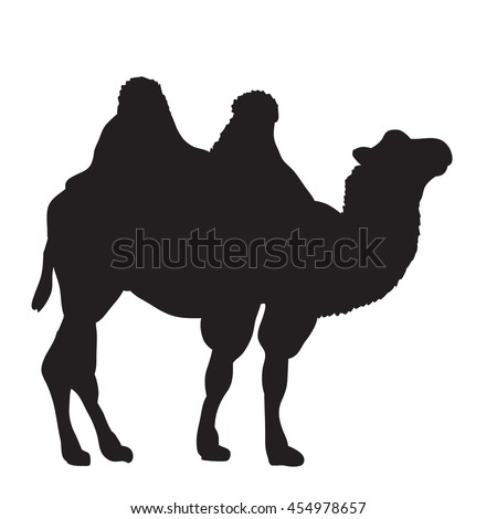 Camel Silhouette Vector Image Illustration Isolated Stock Vector ...