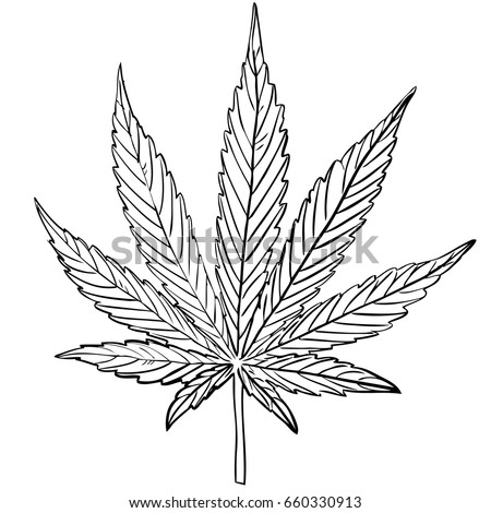 Vintage Marijuana Vector Stock Vector 323505725 - Shutterstock