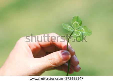 four leaf clover rare find There’s a reason why one of the most popular symbols of st patrick’s day is the four leaf clover for centuries, the rare little clover has been used as a good luck charm. four leaf clover rare find There’s a reason why one of the most popular symbols of st patrick’s day is the four leaf clover for centuries, the rare little clover has been used as a good luck charm.