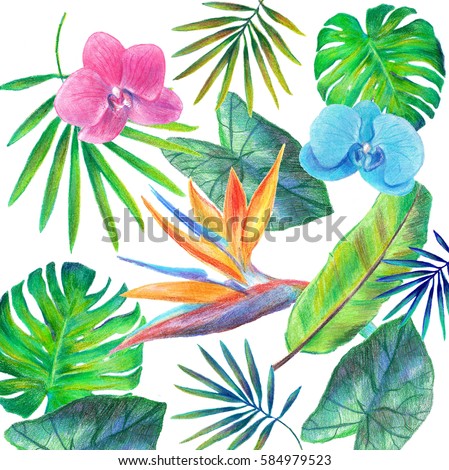 Tropical Exotic Plumeria Flowers Plants Green Stock Vector 202878553 ...