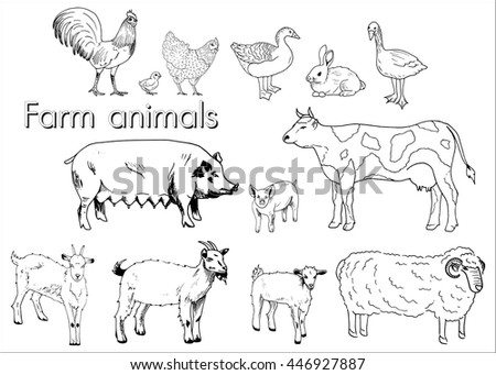 Farm Animals Set Vector Sketches On Stock Vector 190708094 - Shutterstock