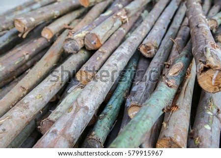 Dirty Garden Tools Shed Stock Photo 482489632 - Shutterstock