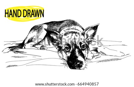 puppy drawing hand sad labrador sitting lies sketch dog spotty children shutterstock vector eyes