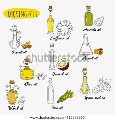 9 Cooking Oils Cute Sketchy Bottles Stock Vector 605761100 - Shutterstock