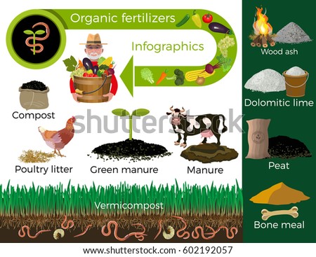 Production Mineral Fertilizers Vector Infographics Stock Vector ...