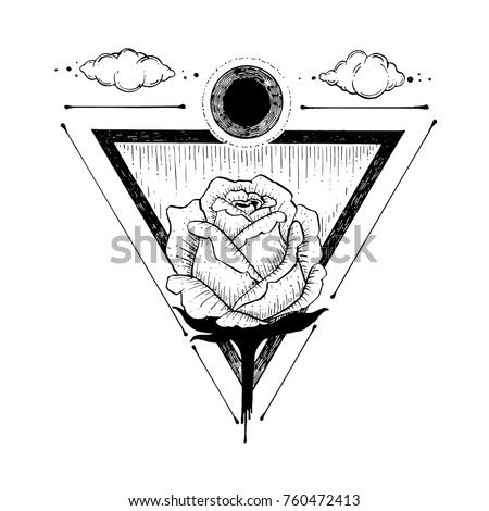 Sketch Beautiful Rose Flower Triangle On เวกเตอร์สต็อก ...
