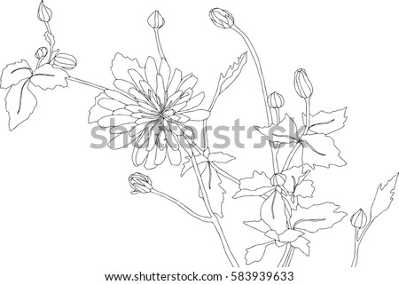 Wildflowers Buttercups Hand Drawn Sketch Wild Stock Vector 714121315