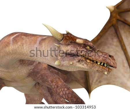 long neck dragon close up - stock photo