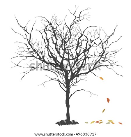 autumn season fall tree stock illustration i2767767 at featurepics skull tree vector horizontal stock vector 209898433 autumn season fall tree stock illustration i2767767 at featurepics skull tree vector horizontal stock vector 209898433