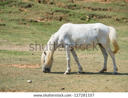horse branch asian singles Chubb insurance products and services in the united states. horse branch asian singles Chubb insurance products and services in the united states.