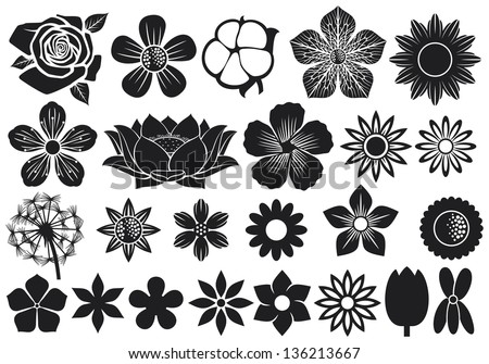 Flower Icon Collection Vector Illustration Stock Vector 216743512 ...