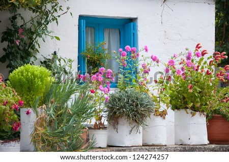 Elegant Flower Pots Pink Hidrangea Pansies Stock Photo 31256530