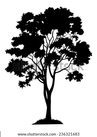 trees silhouettes stock illustration image of color 43384093 4 different types tree silhouette stock vector 36030964 trees silhouettes stock illustration image of color 43384093 4 different types tree silhouette stock vector 36030964