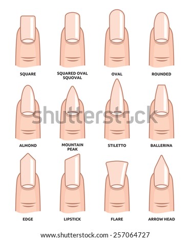 Different Nail Shapes Fingernails Fashion Trends Stock Vector 259035302 ...