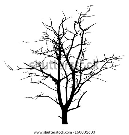 Tree Vector Stock Vector 18764143 - Shutterstock