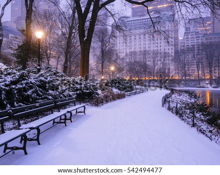 Vienna Stadtpark Winter Morning Stock Photo 126571340 