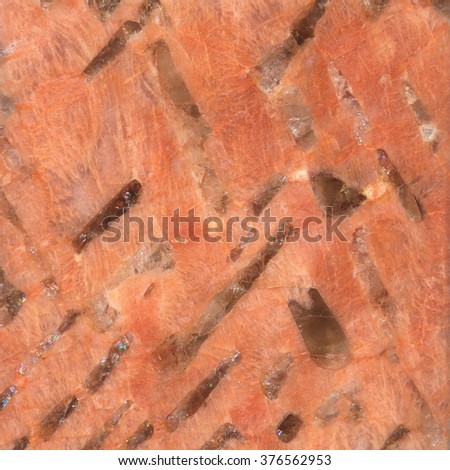 footprints sand along suoi stock photo 546483796 sandstone stock photo 50235271 footprints sand along suoi stock photo 546483796 sandstone stock photo 50235271