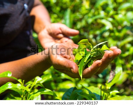asian single women in maize Dating in maize: welcome if you're single in maize and haven't tried us yet, why not try now black women and black men, asian, latino, latina, and everyone else. asian single women in maize Dating in maize: welcome if you're single in maize and haven't tried us yet, why not try now black women and black men, asian, latino, latina, and everyone else.