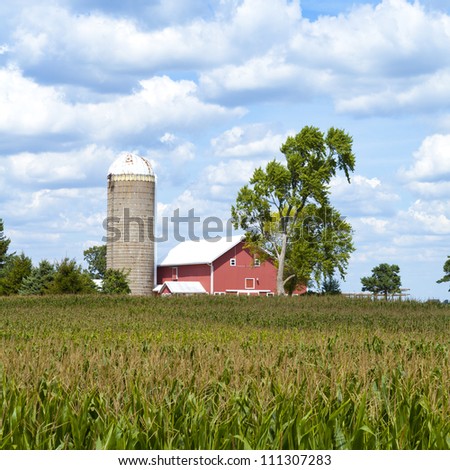 Old Farm Scene Red Barnsilorow Corn Stock Photo 60725494 - Shutterstock