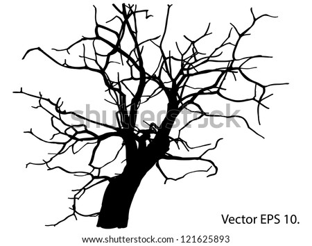 Outline Tree Branches Bw Photo Stock Photo 2677529 - Shutterstock