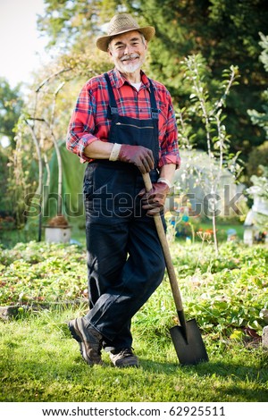 Senior Gardener Basket Harvested Vegetables Garden Stock Photo 62925526 ...