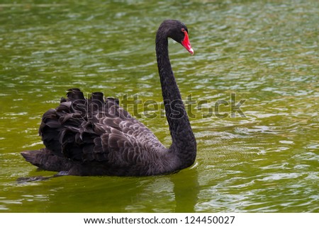You black swan spank rock opinion the Variant does black swan spank rock can suggest