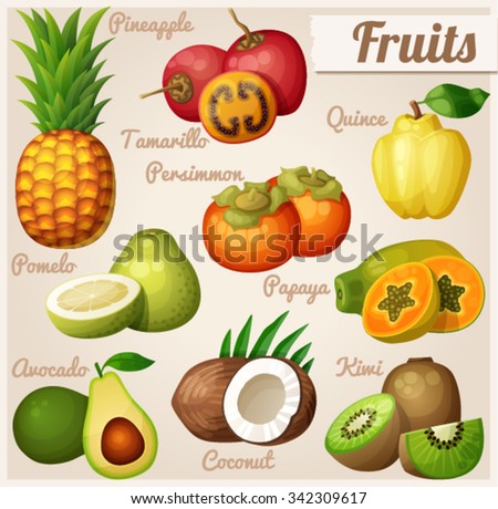 Deluxe Fruit Basket Vector Illustration Stock Vector 113335633 ...