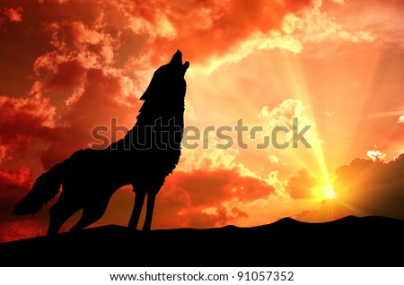 Wolf silhouette Stock Photos, Images, & Pictures | Shutterstock