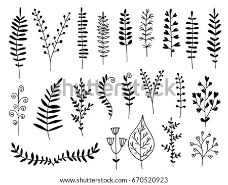 Maple Leaf Drawing Stock Vector 133242428 - Shutterstock