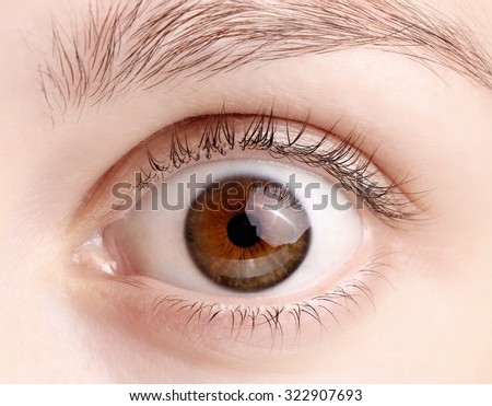 https://thumb10.shutterstock.com/display_pic_with_logo/822895/322907693/stock-photo-close-up-view-of-a-brown-wide-open-woman-eye-no-make-up-on-322907693.jpg